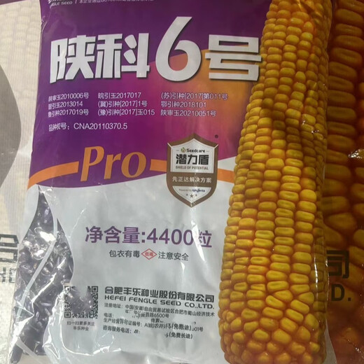 State-approved Shaanke No. 6 corn seed old variety, high-yielding agricultural field, early maturing large hybrid feed corn seed Shaanke No. 6 4400 seeds (one acre of land)