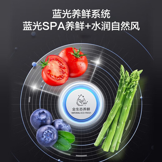 Rongsheng (Ronshen) refrigerator 620 liter cross door four-open refrigerator first-level frequency conversion energy saving national government subsidy 20% BCD-620WD19FP Rongsheng 526up super large capacity