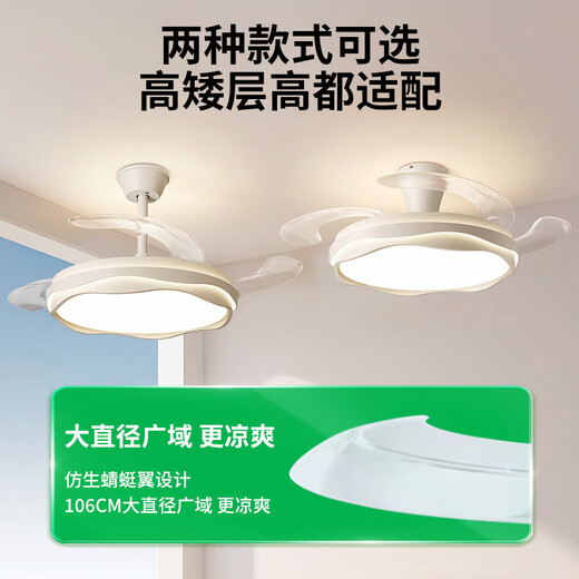 Daguanyuan (DGY) ventilateur lampe de chambre légère Nouveau style invisible, Modern Nordic Master Chadow Room Fan Lampe intégrée 687o Modèle de plafond 48 pouces-wuji dimage-48W-Full Spectre
