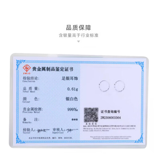 Xinshe S999 Fuß Silberohrringe für Frauen 2025 Neue Style Piercing Ohrringe Ohrringe Stollen Sterling Silber Design hochwertige Ohrringe 12mm [2 Pakete]