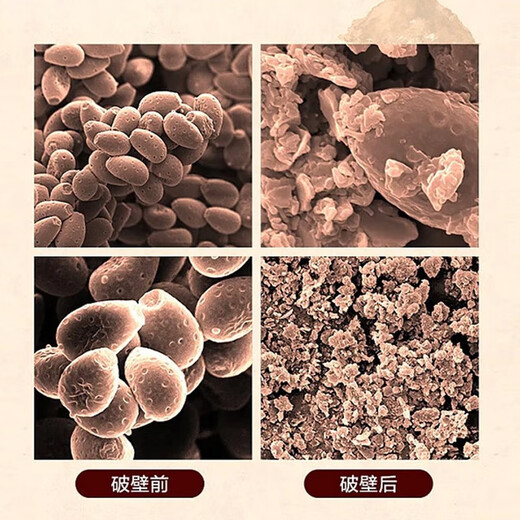 
Don Xiaoteng [Sino-Japan Joint Venture] Don Xiaoteng/Jing Xiaoteng Breaking Wall Ganoderma Spore Powder Enhances Immunity and Tonic Health Products [Half-year] Breaking Wall Ganoderma Spore Powder [6 Boxes]