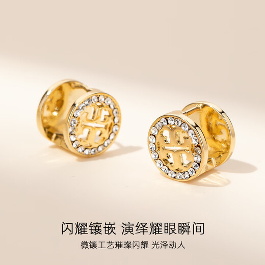 Yalundi French unique small earrings women's ear buckle metal earrings women's niche silver earrings 2025 new hot style high-end