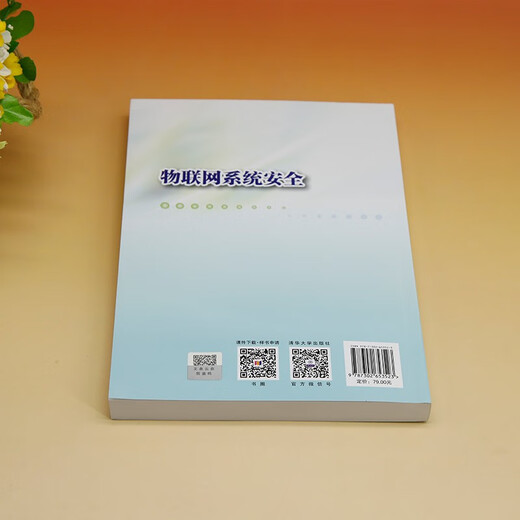 Internet of Things System Security 9787302653523