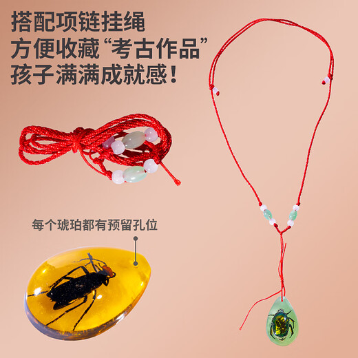 Jingjia Excavación arqueológica para niños Toy Fósil Fósiles Amber Insecto Elf Caja ciega Boy y niña Gema Hecha Gema Tesoro Aleatorio 2 Cajas de Insectos Cristal Arqueología Enviar Lanyard Random