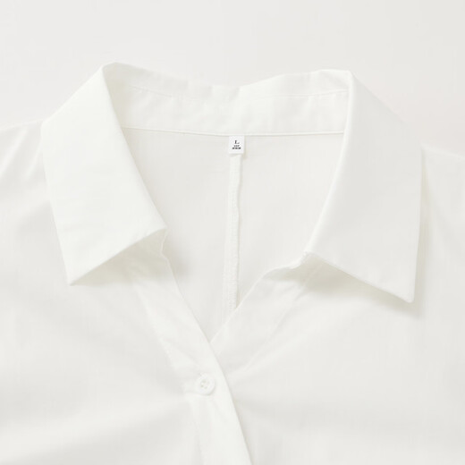 IEF/Aiyifu plus size women's clothing 2025 new autumn Korean style commuting temperament design versatile shirt