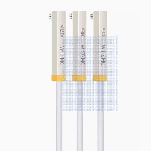 Capeda AIRTAC magnetic switch DMSJ-020