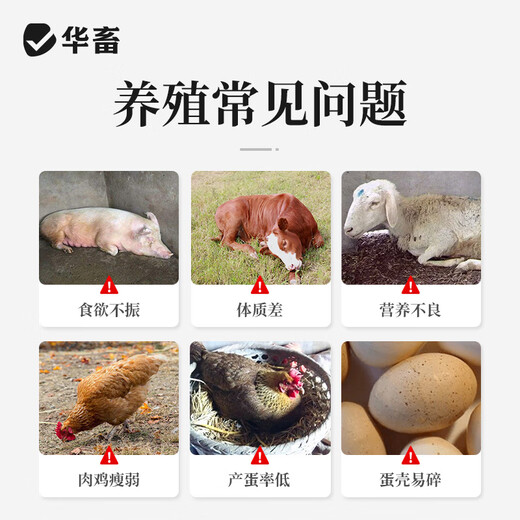 Huazhu multidimensional baking soda for veterinary use 10Jin Jin is equal to 0.5kg. Feed additive for livestock and poultry feeding, pigs, cattle, sheep, ducks and goose breeding. Multidimensional baking soda in large barrels. 10Jin Jin is equal to 0.5kg.