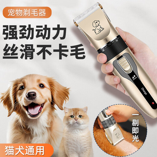 Paike pet electric clipper, dog shaver, cat and cat nail polisher, dog hair professional shaver, high-power electric clipper, basic model, 8-piece set
