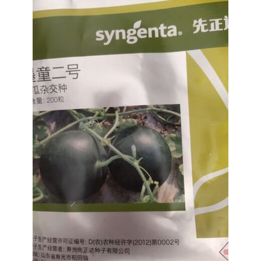 Syngenta super sweet gift watermelon seeds MiTong watermelon seeds super crack-resistant seedless watermelon seeds MoTong watermelon seeds 200 original