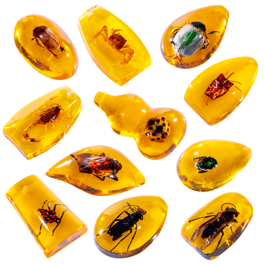 Jingjia Excavación arqueológica para niños Toy Fósil Fósiles Amber Insecto Elf Caja ciega Boy y niña Gema Hecha Gema Tesoro Aleatorio 2 Cajas de Insectos Cristal Arqueología Enviar Lanyard Random