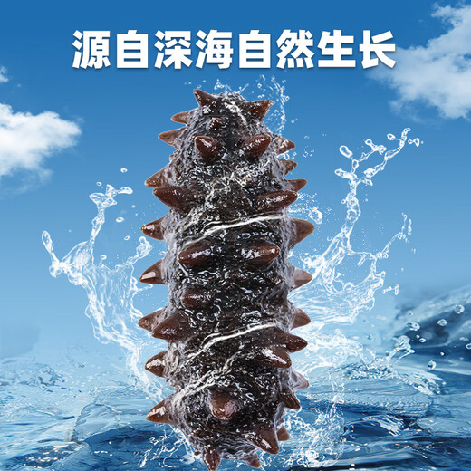 Zhaojia Dalian ready-to-eat sea cucumber base sea cucumber Net content 2Jin Jin equals 0.5kg (26-36 pieces) Straight from the source