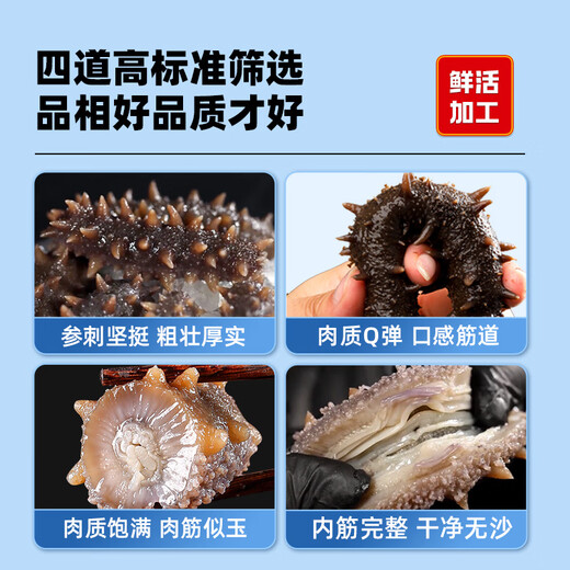 Zhaojia Dalian ready-to-eat sea cucumber base sea cucumber Net content 2Jin Jin equals 0.5kg (26-36 pieces) Straight from the source