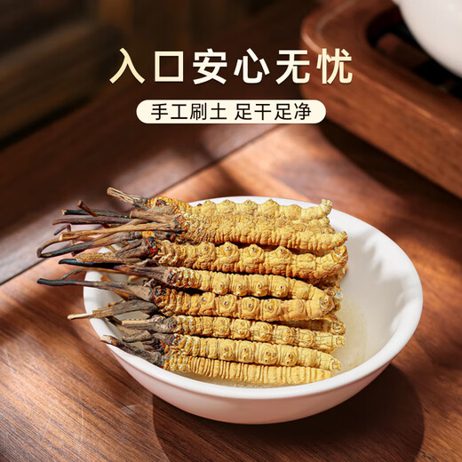 Shouyangtang Cordyceps sinensis 4 roots/g 10g Cordyceps gift box freshly dried Cordyceps supplements for elders [Chinese Red Gift Box]