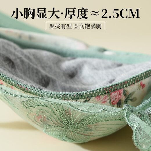 妮姬塔 内衣女小胸聚拢上托收副乳调整型上薄下厚 刺绣蕾丝无钢圈文胸罩 丁香紫【9921】 80A B/36AB