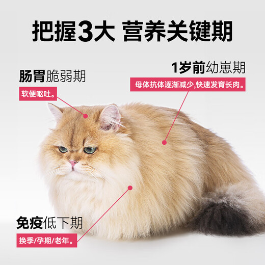 High quality goat milk powder 200g high lactoferrin 0 lactose pet kitten dogs and cats universal adult pregnant and elderly x2