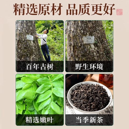 协和京品【正品】青钱柳叶茶降水压低脂低糖高血压搭绞股蓝罗布麻养生茶 青钱柳一盒装【糖友力荐】