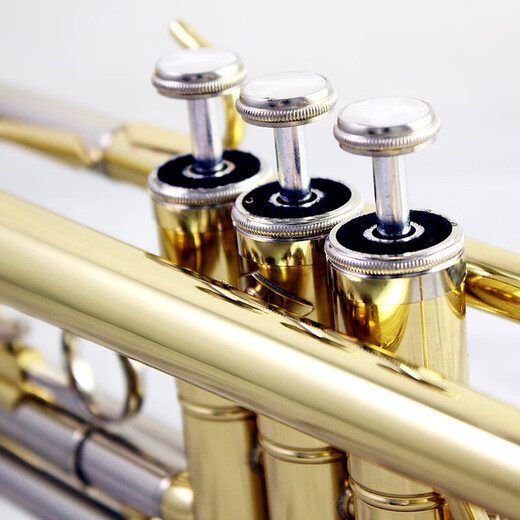Xinghai trompeta pequeña b-flat tortuga de trompeta general instrumento musical XT-120