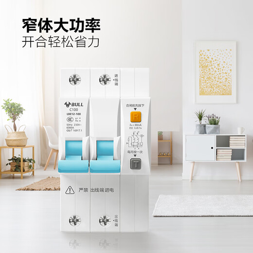 Bull (BULL) Jiahe LBE12 protecteur de fuite 2P protection contre les fuites disjoncteur ménage haute puissance 2P100A