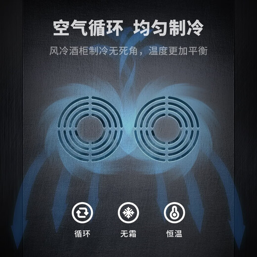 SILIWERE red wine cabinet, constant temperature wine cabinet, home red wine cabinet, living room wine cabinet, custom red wine cabinet, width 800, depth 450, height 2000, black, 120 bottles, exclusive version