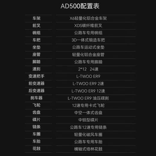 喜德盛【门店提车】公路自行车AD500电子变速油碟刹桶轴24速碳纤维前叉 鸽子灰/黑 480mm