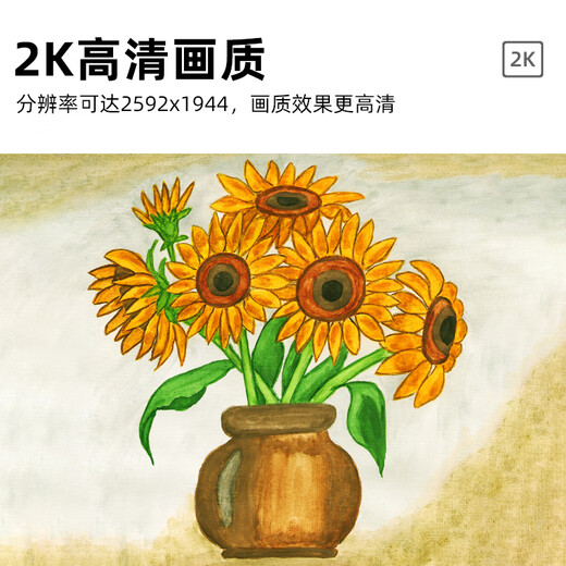 汇博士 自动对焦摄像头 远程教学直播微课录制课堂演示 高清笔记本台式电脑摄像机高拍仪 X20落地支架款