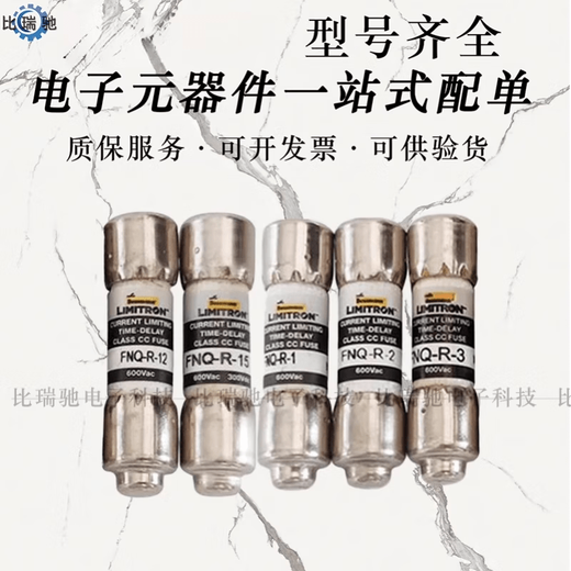 SMVP Bussmann fuse -9-10-12-15-20-25-30 bussmann fuse FNQ-R-6