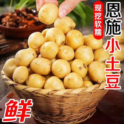 Enshi small potatoes, sun-dried, freshly dug, yellow-skinned mini potatoes, glutinous alpine potatoes, Marco potatoes, 2Jin Jin equals 0.5kg - large fruit - duck egg size (with box)