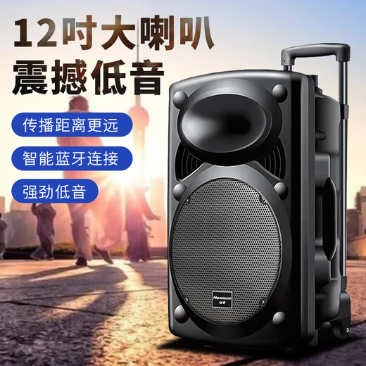 Newman B12 Square Dance 12-inch Outdoor High Volume Bluetooth Trolley Speaker Portable Electric Acoustic Guitar Singing Instrument Speaker Performance K Song Subwoofer Floor Stall Speaker Adapter