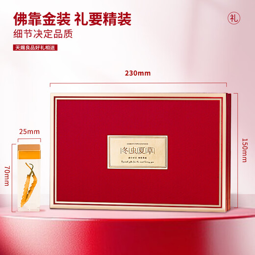 太守堂 冬虫夏草2根/g 5克礼盒装(约10根)年货礼品高海拔高洁净新干虫草