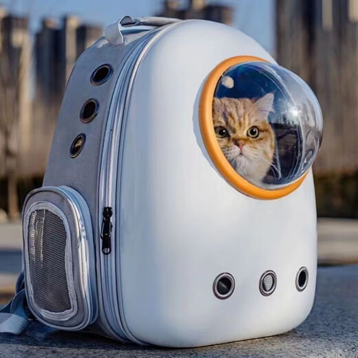 MODX Sac pour chat Sortie Sac portable Transparent Capsule spatiale Sac à dos Sac à dos pour chat Sac d'école pour chat Sac pour chien de grande capacité Fournitures pour animaux de compagnie Image principale Modèle Blanc Gris Or Cercle Style populaire Prix bas Réseau entier Meilleure vente Sans ouverture latérale Ensemble de quatre pièces