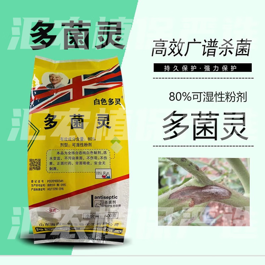 Imported original drug 80% carbendazim fungicide high content soil disinfection pesticide universal fungicide for flowers and fruit trees 500g*1 bag