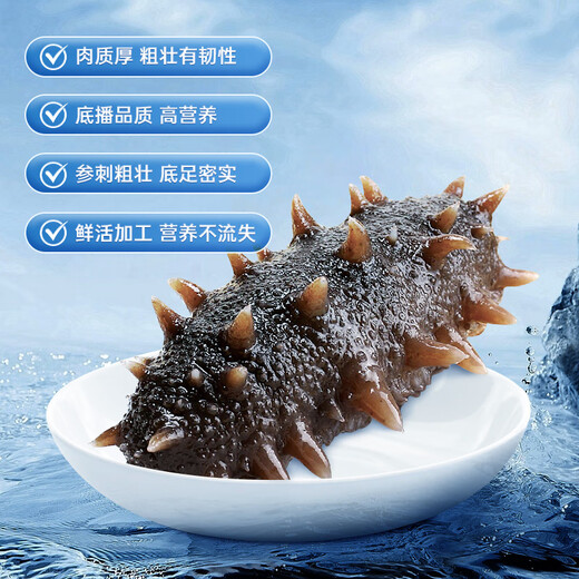 Fresh Dalian ready-to-eat sea cucumbers 1 Jin Jin equals 0.5 kg 10-16 pieces Solids 75% OCC Seafood