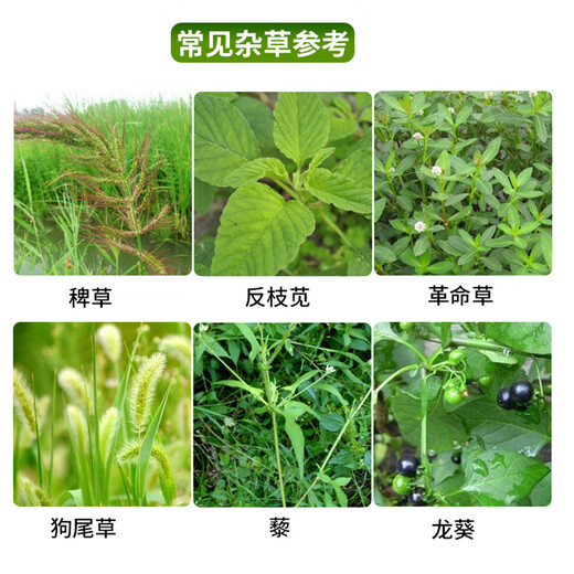 Hedangjia 41% glyphosate isopropylamine salt herbicide garden courtyard farmland orchard railway malignant weeds 5kg/barrel
