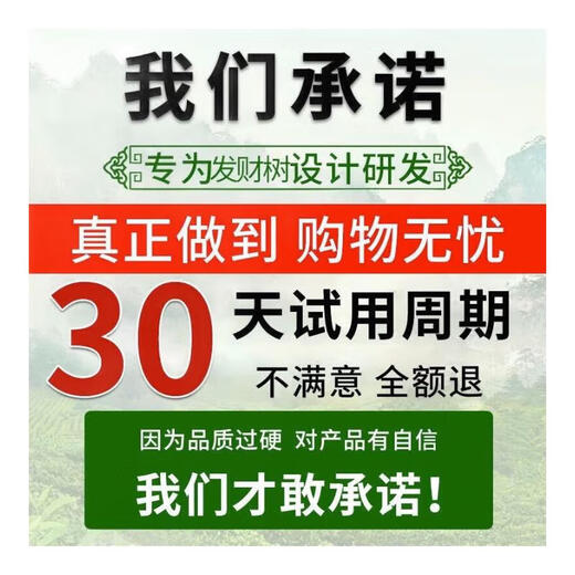 艾尚棵富贵竹营养液黄叶土培水养水培绿植物专用通的营养液花肥料怎么用 买2 送1【发3瓶】