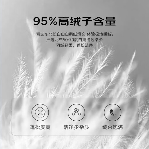 Mengjie Home Textile Furry Zone 95% White Goosevelt Thick Quilt in Winter Quilt Thick in Keep Warm All seasons available Single and Double Quilt Core Space Station Thermal Energy 95% White Goosevelt Quilt 248cm*248cm