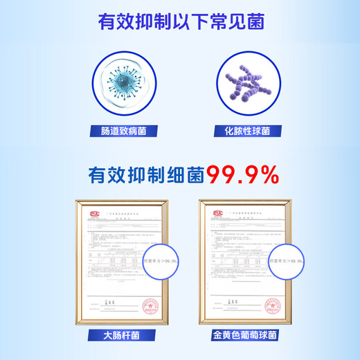 Safeguard hand soap foaming cherry blossom white tea pure white aloe vera lemon fragrance antibacterial and sterilizing children red pomegranate fragrance-foaming antibacterial hand soap 300g