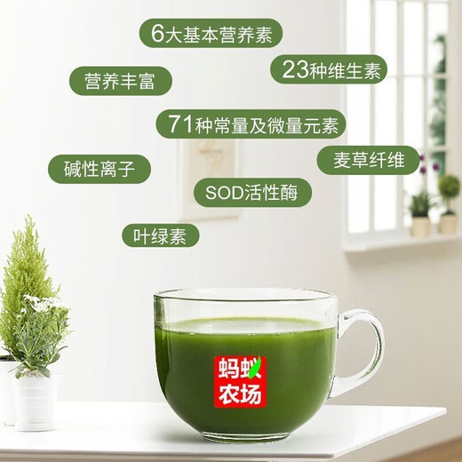 Ant Farm Barley Ruoye Green Juice Dietary Fiber Meal Replacement Powder Body Management Barley Green Juice 5 Boxes Value-for-money (Source Code)
