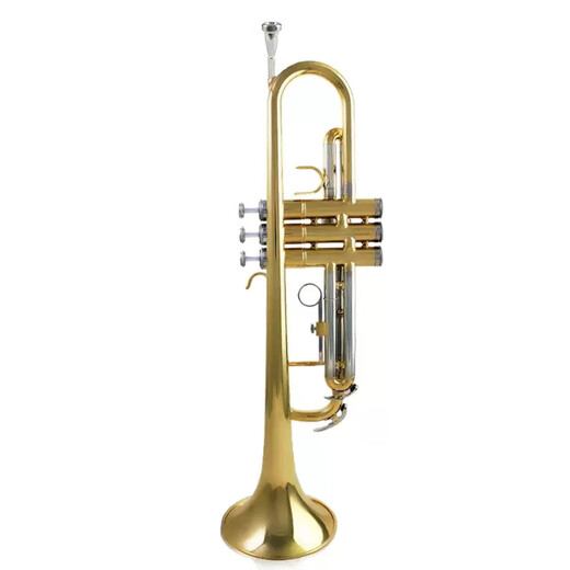 Xinghai trompeta pequeña b-flat tortuga de trompeta general instrumento musical XT-120