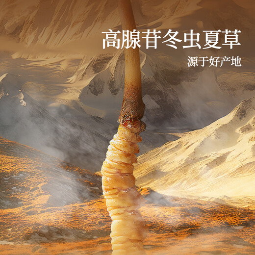 Tongrentang Brand Cordyceps sinensis 5g Broken Grass Self-use tonic tonic for self-healthy and practical high-end gifts for gifts for elders
