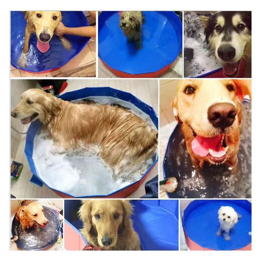 Spring koi and autumn carp pet bathtub foldable large dog golden retriever dog special swimming pool bathtub bathtub washing cat bathtub 50 8cm red recommended 15Jin Jin equal to 0.5kg thickened version