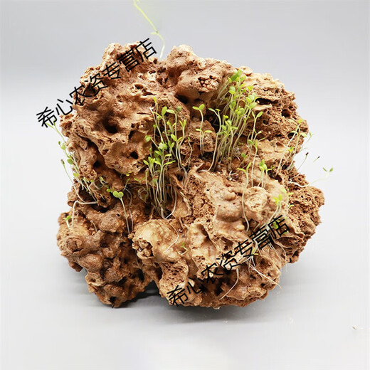 OIMG absorbent stone landscape absorbent stone rockery bonsai natural landscaping raw stone rockery stone courtyard rockery natural raw stone 30-34CM absorbent stone (pot not included)