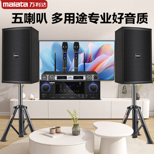Malata audio set home KTV audio shop stage training room dance studio Bluetooth amplifier microphone speaker 12-inch five-unit audio pair + amplifier + microphone