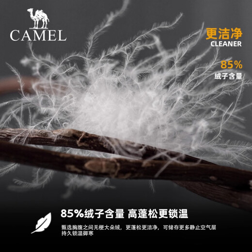 骆驼（CAMEL）黑钻系列短款羽绒服女装冬新款保暖防风连帽羽绒外套面包服 724CA6B601，白玉粉，女 M M