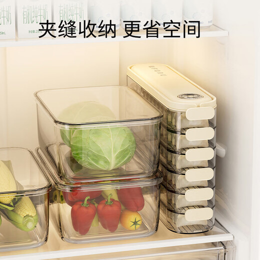 Yushang Zhenpin Dumpling Box Household Food Grade Freezing Special Narrow Sealed Fresh-keeping Box Wonton Quick-frozen Kitchen Refrigerator Storage Box Cream White 4 Layers