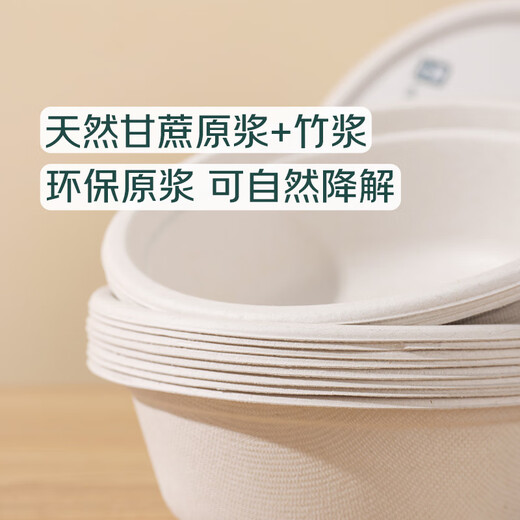 Disposable dinner bowls 500ml 20 pieces