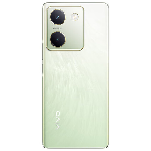 vivo X100 蓝晶×天玑9300 蓝海电池 蔡司长焦 120W双芯闪充 新品5G拍照全网通手机 琉云青丨Y100（骁龙695） 12GB+512GB