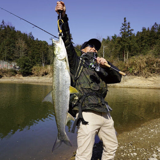 
Dayiwa (DAIWA)ZILLION Zilong competitive lure rod competition lure fishing long throw bass fishing fine fishing general insect system 2.03m Kawamura 682/MLFS (medium soft straight handle)
