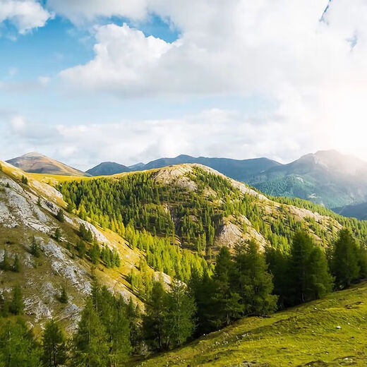 Garkoko Little Moon Teething Stick Baby Teething Stick Baby Teething Stick To Prevent Eating During Teething Period Yuanyuanyang Microsoft