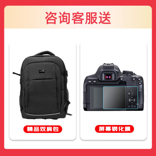Canon (Canon) EOS R3 Micro-ungrograma Micro-single, 6k video, 30 fotos/segundo disparo continuo de alta velocidad, anti-shake de 8 niveles, enfoque controlado por los ojos, disparo de pájaros deportivos, cuerpo único EOS R3 (el empaque original es nuevo y sin abrir, no incluido en la lente) Paquete uno [accesorios diarios en el hogar, obtener otro 699 yuan regalos