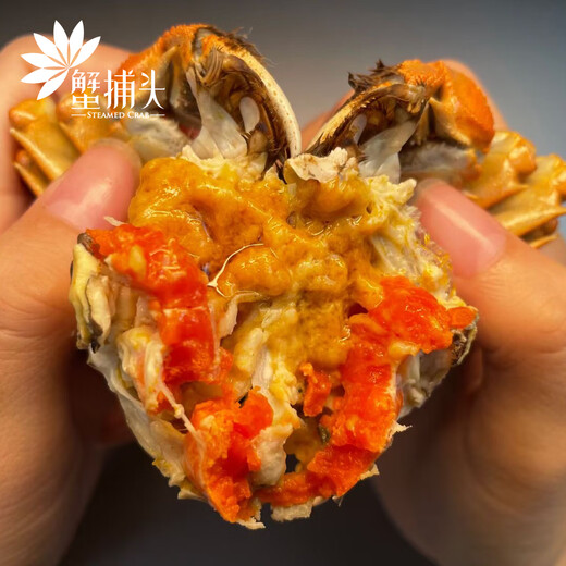[Gift Certificate] Crab Head Crab Gift Card Crab Collection Coupon Crab Card Exchange Coupon Pickup Card Hairy Crab Voucher Type 698 Full Female Crab 2.0 Two Pack 8